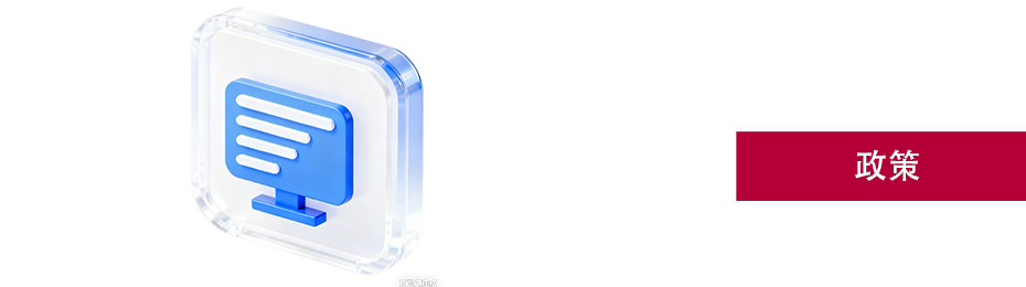 政策